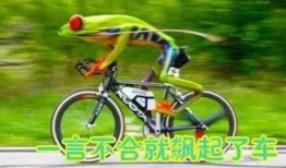 娱乐吃瓜酱自行车,自行车界的潮流新宠